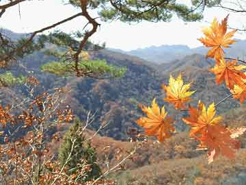 电视剧求婚大盘点：从浪漫到虐心，总有一款适合你！