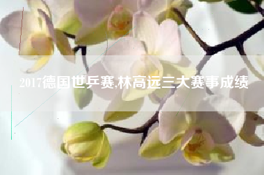 2017德国世乒赛,林高远三大赛事成绩