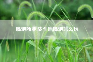 嘴炮断腿,战斗吧嘴炮怎么玩