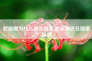 赵丽娜为什么退出国足,赵丽娜还在国家队吗
