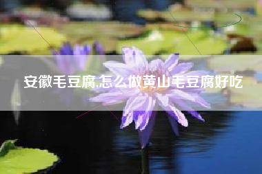 安徽毛豆腐,怎么做黄山毛豆腐好吃