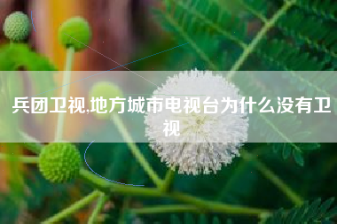 兵团卫视,地方城市电视台为什么没有卫视