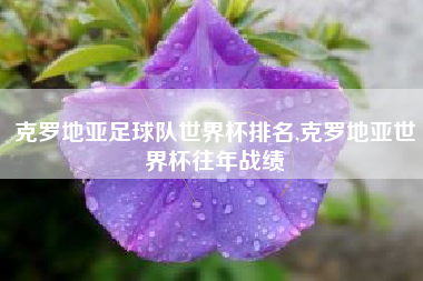 克罗地亚足球队世界杯排名,克罗地亚世界杯往年战绩