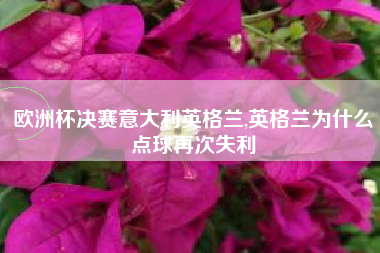 欧洲杯决赛意大利英格兰,英格兰为什么点球再次失利