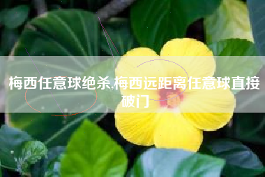 梅西任意球绝杀,梅西远距离任意球直接破门