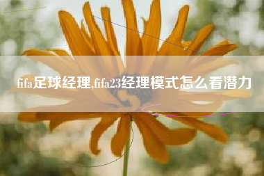 fifa足球经理,fifa23经理模式怎么看潜力