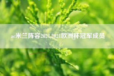 ac米兰阵容2021,2021欧洲杯冠军成员