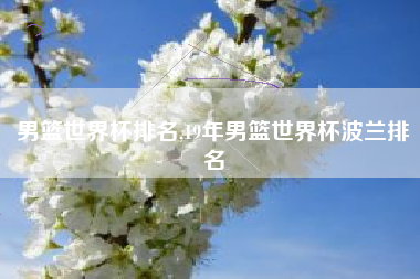 男篮世界杯排名,19年男篮世界杯波兰排名