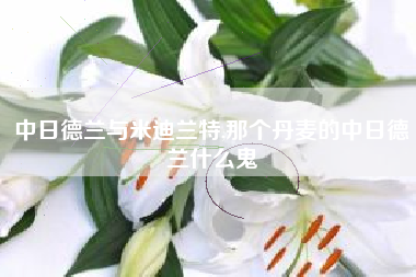 中日德兰与米迪兰特,那个丹麦的中日德兰什么鬼
