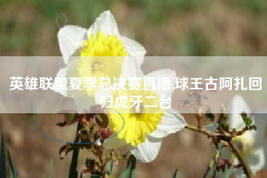 英雄联盟夏季总决赛直播,球王古阿扎回归虎牙二台