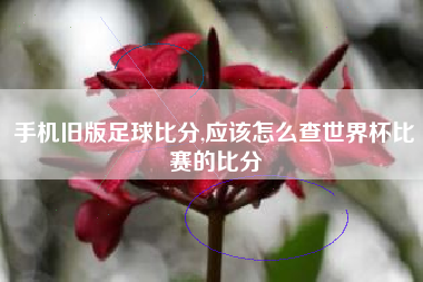 手机旧版足球比分,应该怎么查世界杯比赛的比分