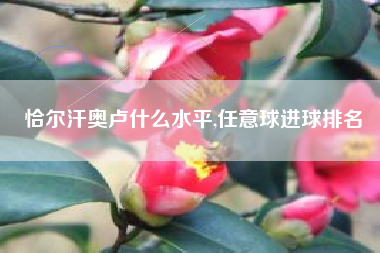 恰尔汗奥卢什么水平,任意球进球排名