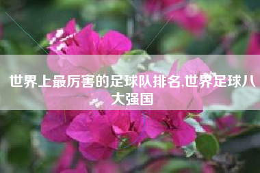 世界上最厉害的足球队排名,世界足球八大强国