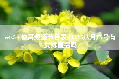 cctv5+体育频道节目表,CCTV5八月六号有女排直播吗