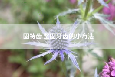 固特齿,坚固牙齿的小方法