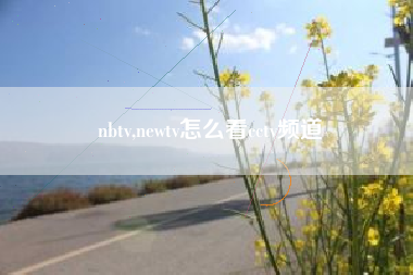 nbtv,newtv怎么看cctv频道
