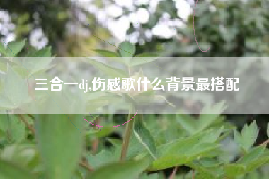 三合一dj,伤感歌什么背景最搭配