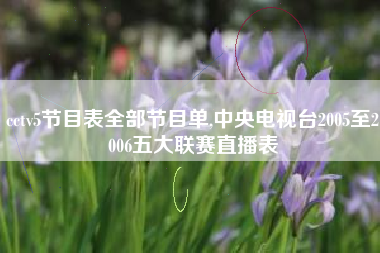 cctv5节目表全部节目单,中央电视台2005至2006五大联赛直播表