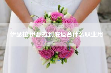 伊瑟拉,伊瑟拉到底适合什么职业用