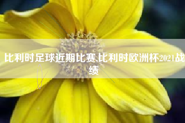 比利时足球近期比赛,比利时欧洲杯2021战绩