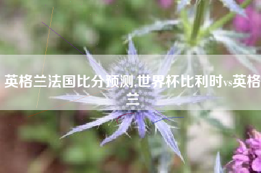英格兰法国比分预测,世界杯比利时vs英格兰