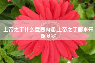 上帝之手什么意思内涵,上帝之手画米开朗基罗