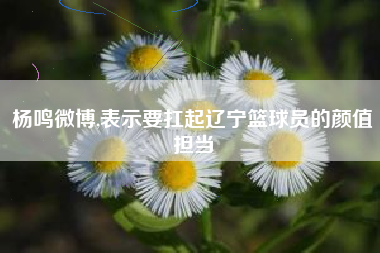 杨鸣微博,表示要扛起辽宁篮球员的颜值担当