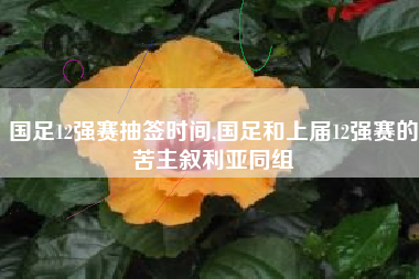 国足12强赛抽签时间,国足和上届12强赛的苦主叙利亚同组
