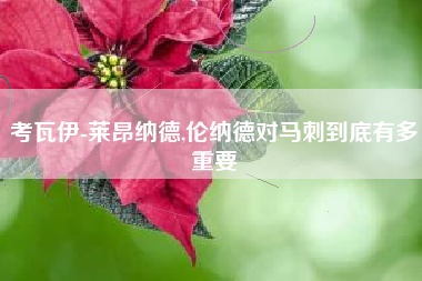 考瓦伊-莱昂纳德,伦纳德对马刺到底有多重要