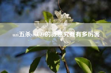 uzi五杀vn,UZI的薇恩究竟有多厉害