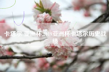 卡塔尔 亚洲杯,2019亚洲杯卡塔尔历史战绩