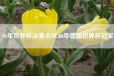 06年世界杯决赛点球,06年德国世界杯冠军