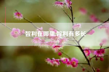 智利在哪里,智利有多长
