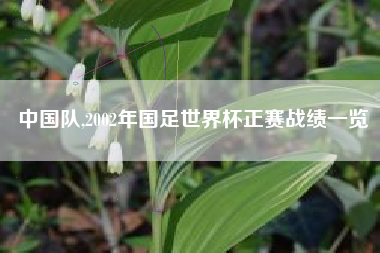 中国队,2002年国足世界杯正赛战绩一览