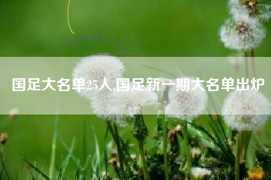 国足大名单25人,国足新一期大名单出炉