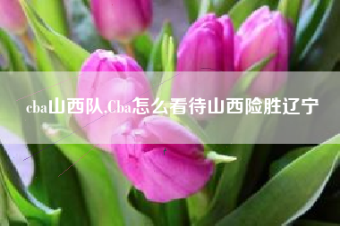 cba山西队,Cba怎么看待山西险胜辽宁