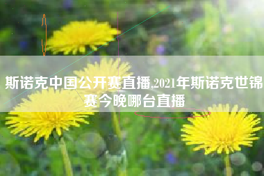 斯诺克中国公开赛直播,2021年斯诺克世锦赛今晚哪台直播