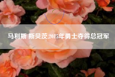 马利斯 斯贝茨,2015年勇士夺得总冠军