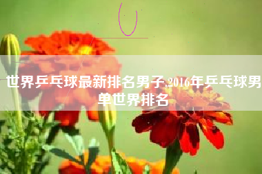 世界乒乓球最新排名男子,2016年乒乓球男单世界排名