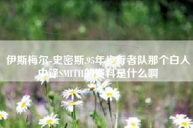 伊斯梅尔-史密斯,95年步行者队那个白人中锋SMITH的资料是什么啊