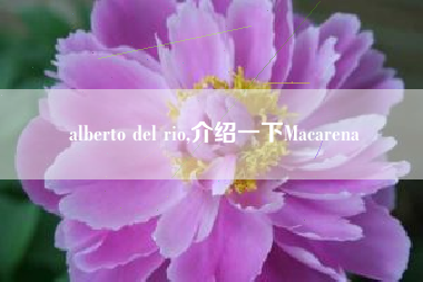 alberto del rio,介绍一下Macarena