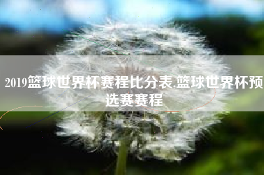 2019篮球世界杯赛程比分表,篮球世界杯预选赛赛程