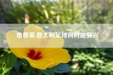 詹蒂莱,意大利足球何时能复兴