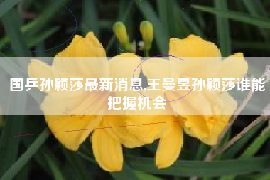 国乒孙颖莎最新消息,王曼昱孙颖莎谁能把握机会