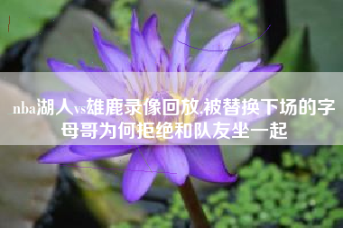 nba湖人vs雄鹿录像回放,被替换下场的字母哥为何拒绝和队友坐一起