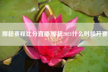 挪超赛程比分直播,挪超2021什么时候开赛