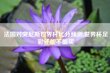 法国对突尼斯世界杯比分预测,世界杯足彩还能不能买