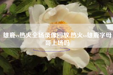 雄鹿vs热火全场录像回放,热火vs雄鹿字母哥上场吗