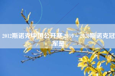 2012斯诺克中国公开赛,2019～2020斯诺克冠军是