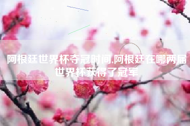 阿根廷世界杯夺冠时间,阿根廷在哪两届世界杯获得了冠军